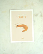 Postal "Madame la Crevette"